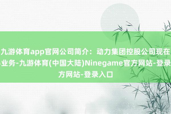 九游体育app官网公司简介：动力集团控股公司现在莫得业务-九游体育(中国大陆)Ninegame官方网站-登录入口